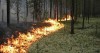 В Тульской области вырос риск возникновения пожаров