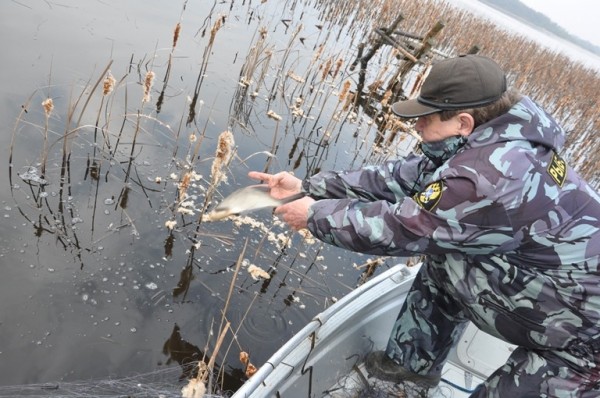 В Новомосковске начал действовать нерестовый запрет на рыбалку