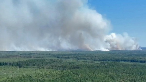 Смог от Рязанских пожаров начал появляться в Тульской области