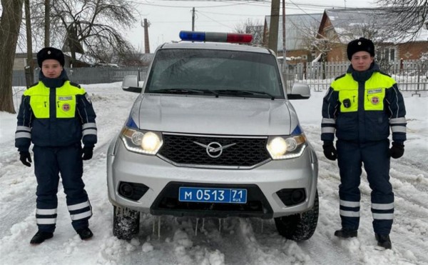 В Тульском регионе гаишники вытащили из снежного плена несколько большегрузов