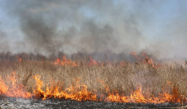 В Новомосковске сохраняется высокая степень пожароопасности