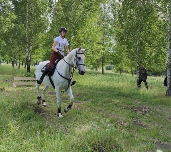 В Новомосковске впервые прошли соревнования по спортивному туризму на конных дистанциях