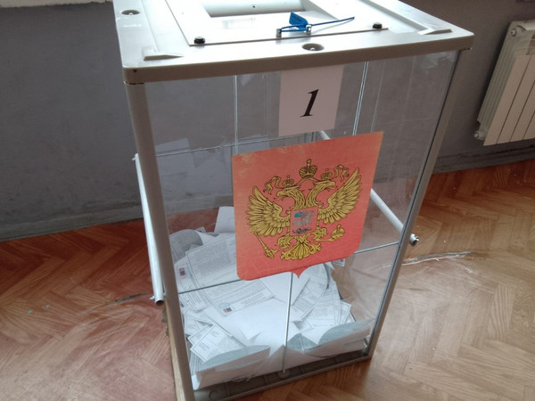Выборы завершились. Как проголосовал Новомосковск