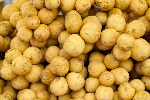 В Тульской области собрали рекордный за всю историю урожай картофеля