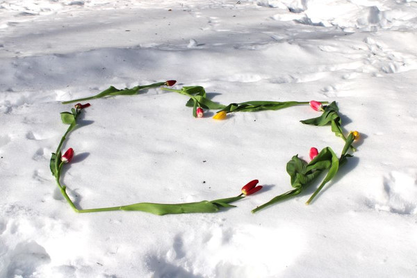 Жительниц Новомосковска 7 марта тепло поздравили цветами с наступающим праздником